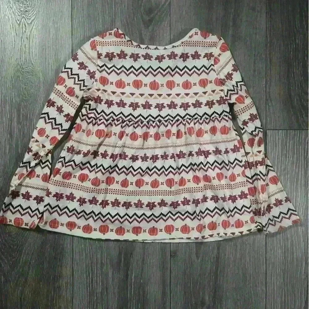 Carter’s and Children’s Place 2 Piece Girls Fall Long Sleeve Tee Bundle Size 5 - Picture 3 of 9